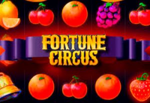 Fortune Circus